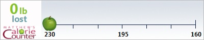 kathrina's weight loss ticker