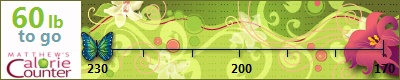 kay2two's weight loss ticker