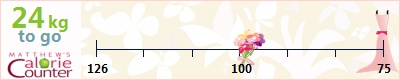 kiskockanyul's weight loss ticker