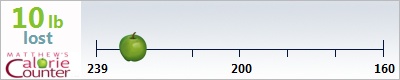 lailahossain's weight loss ticker