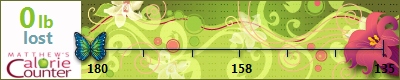 leeja's weight loss ticker