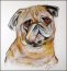 lfergie's profile picture