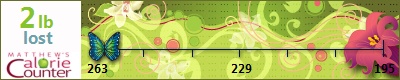 lynwill222's weight loss ticker