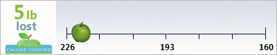 miranda's weight loss ticker