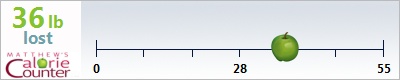 mjodi11's weight loss ticker
