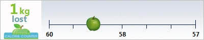 natkam1's weight loss ticker