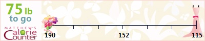 prettyprincess_lacey's weight loss ticker