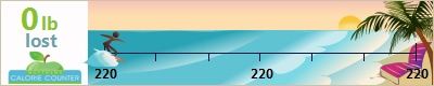 rohrmr's weight loss ticker