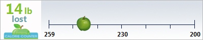 seraphim367's weight loss ticker