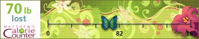 siggie's weight loss ticker