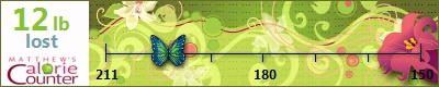slimgirl's weight loss ticker
