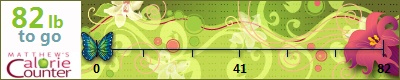 sreyes2245's weight loss ticker