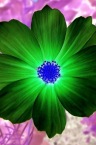 ssbe123's Profile Picture : Matthews Calorie Counter