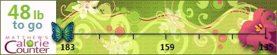 terridixon's weight loss ticker