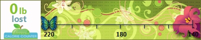 travelgirl's weight loss ticker