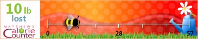 vanlky's weight loss ticker