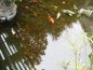 mle_shrinks's profile picture