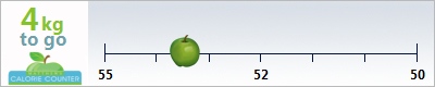Plebzillion's weight loss ticker