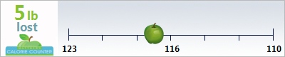 teenflow's weight loss ticker