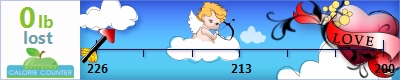Dannyboy's weight loss ticker